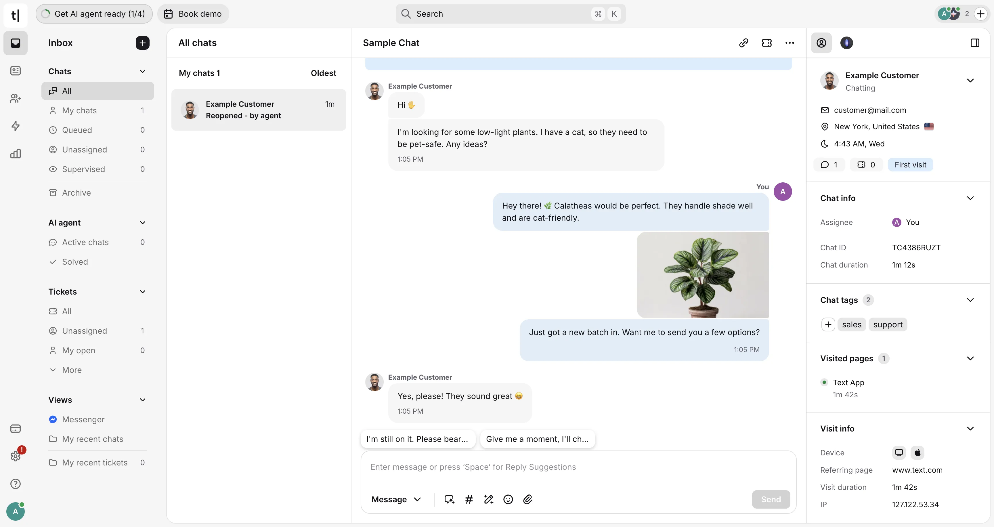 AI agent conversational e-commerce interface - Agentic Commerce on Shopify Plus: Secure API Integration