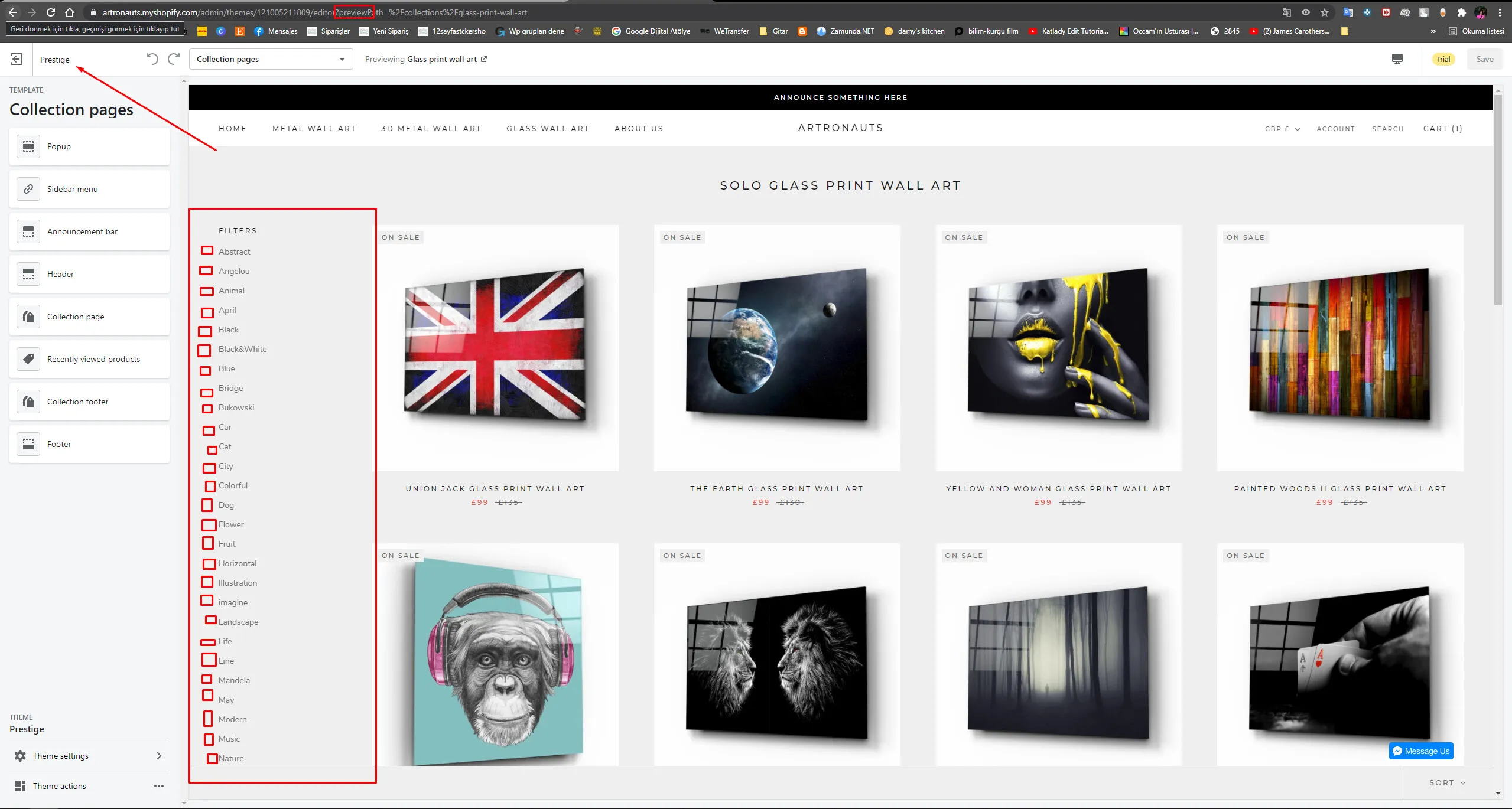 Shopify Plus SEO: Enterprise High-SKU Catalog Guide cover image