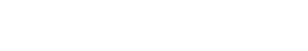 footer-logo-avelize.com